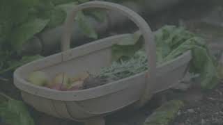 Choosing A Garden Trug