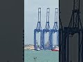 #port #vessel #sea #viralvideo