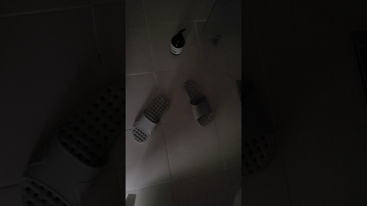 옆집소음(화장실