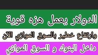 اسعار الدولار اليوم|اسعار الدولار والعملات في البنوك والسوق السوداء السبت في مصر