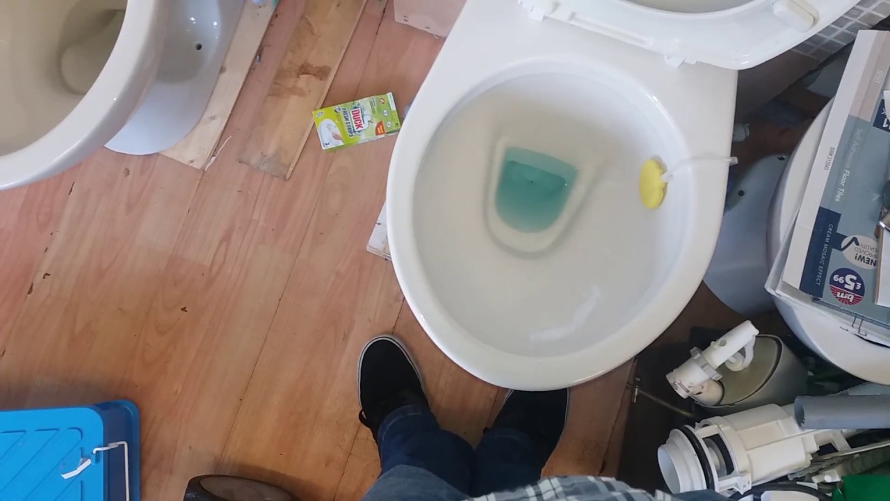 barrhead toilet with a blue flush. - YouTube