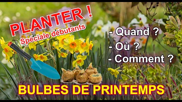 Quand planter les bulbes automne ?