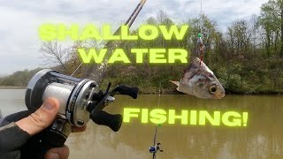 How to catch catfish in SHALLOW WATER