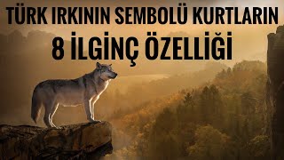 TÜRK IRKINI TEMSİL EDEN KURTLARIN İLGİNÇ 8 ÖZELLİĞİ Resimi