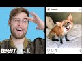 Garrett Watts Breaks Down His Favorite Instagram Accounts | Teen Vogue