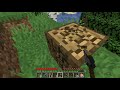 Kuzenle Minecraft Serverında Survival