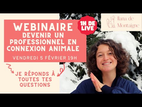 La formation professionnelle en connexion animale : Une opportunité pour créer un nouveau monde