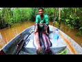 trip santai part1 hutan amazon terengganu menajur toman dan membubu keli limbat eps47 #toman #amazon