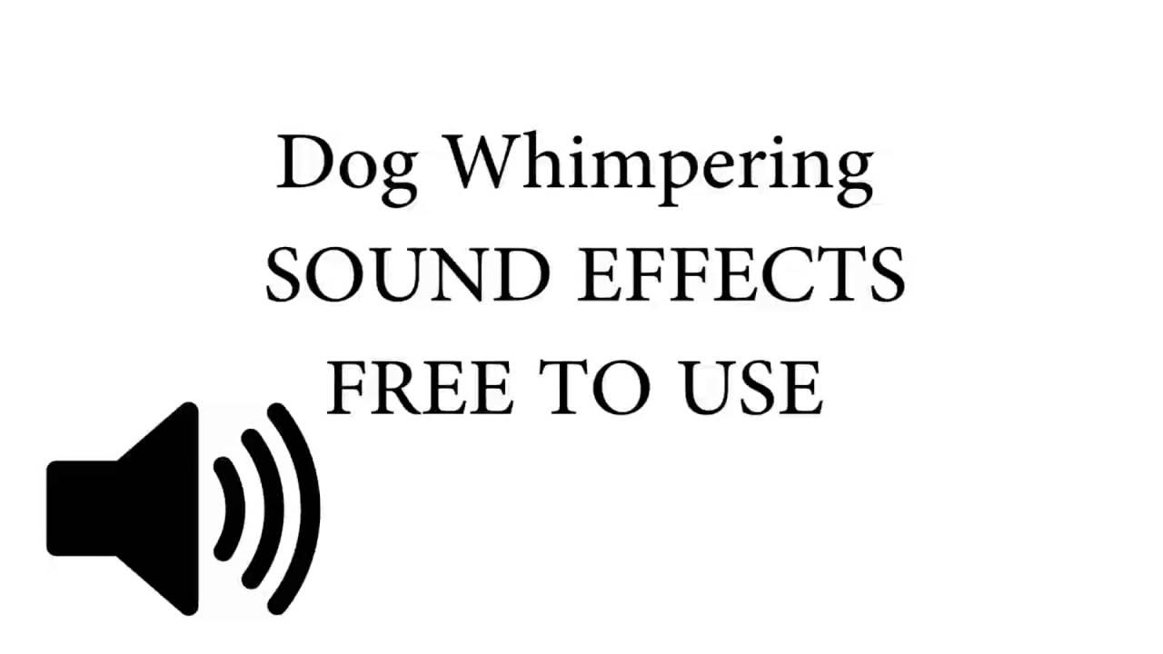 What does a dog whimper sound like