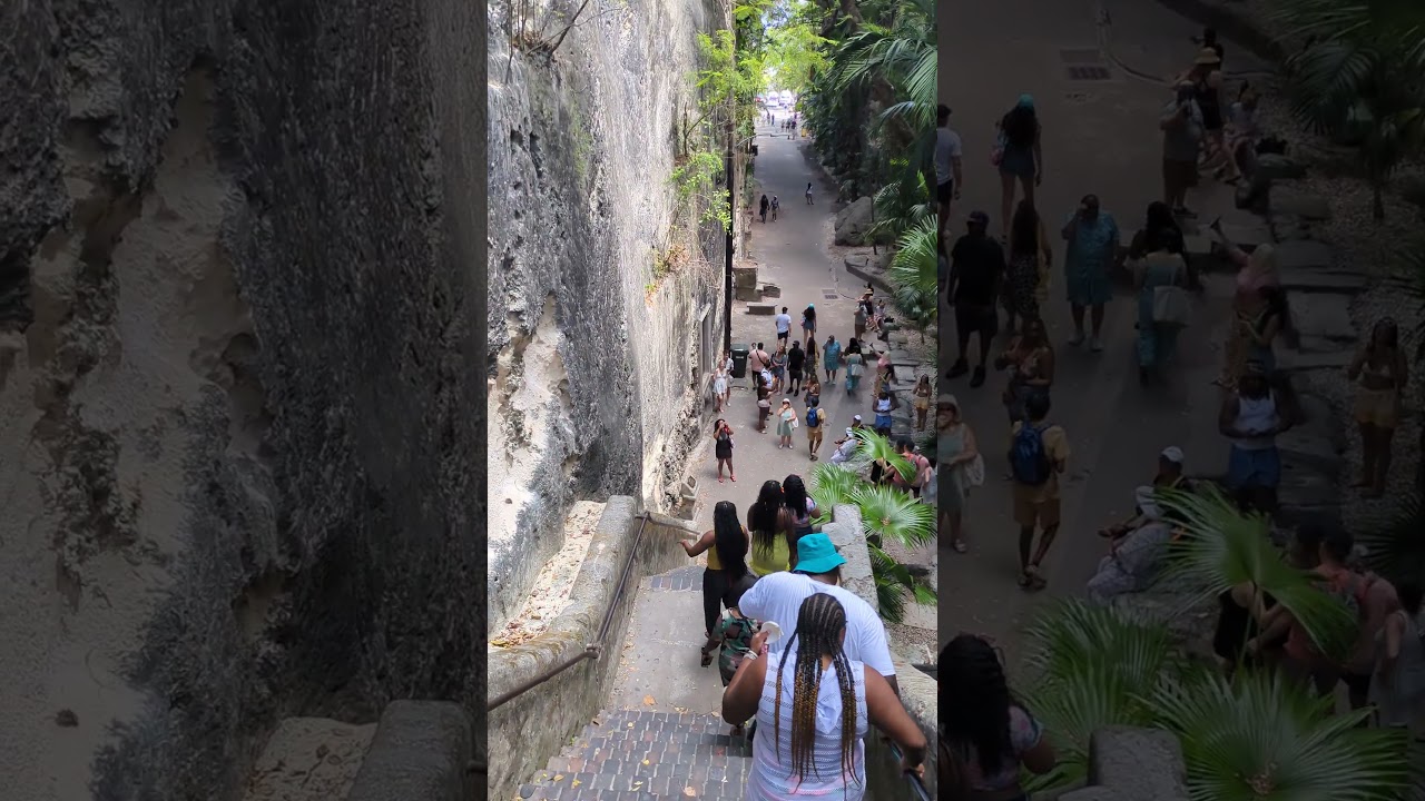 Hidden Gem in Nassau #nassau #bahamas #shortstravel
