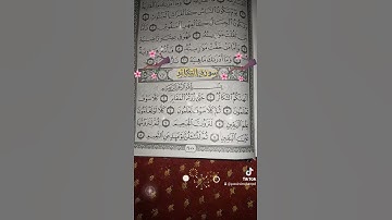 سورة التكاثر