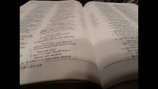 Day 168 - Proverbs 25-26 JUST THE WORD Profile