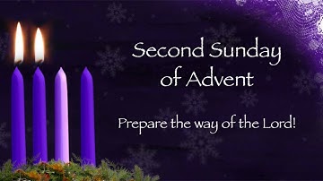 Homily for the 2nd Sunday of Advent C