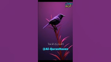 Surah At-Tawbah سورة التوبة || Al-Quran Haven