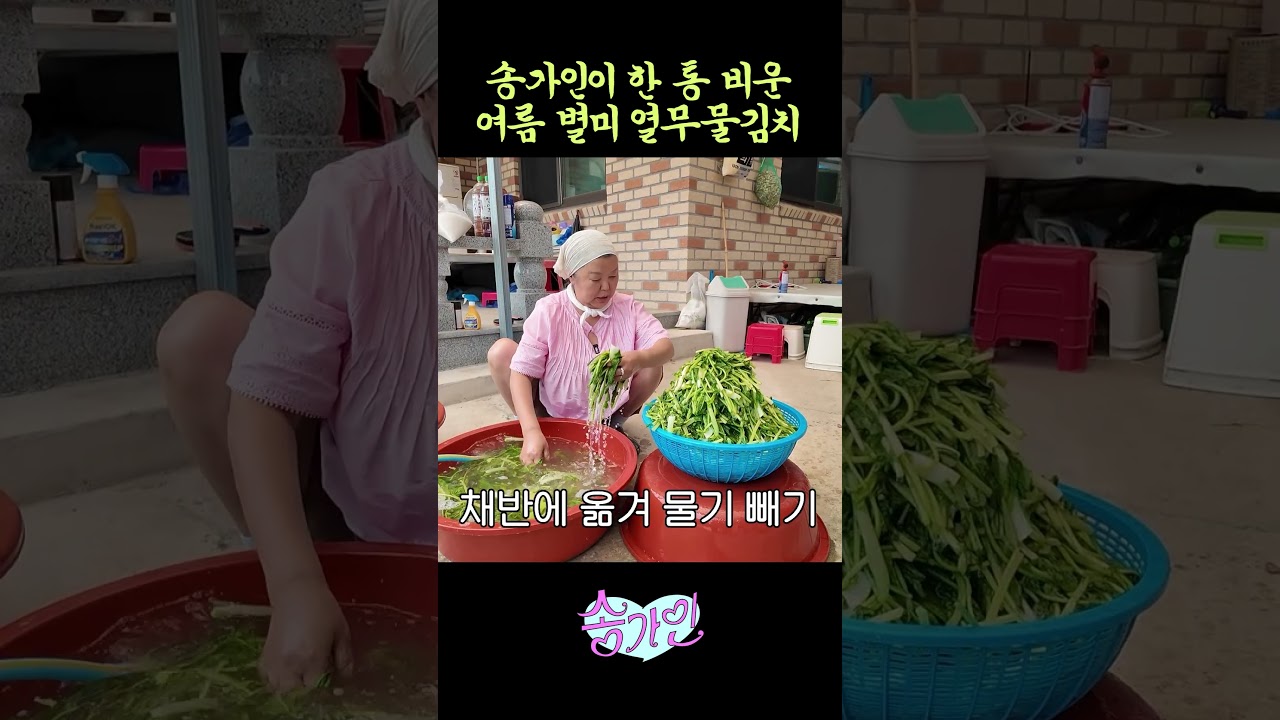 #송가인 엄마 열무물김치 레시피