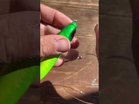 How to tie a santee Cooper Rig