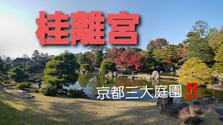 【京都】桂離宮に行ってきた。11月中旬撮影。