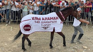 Ұлы Дала - Қазанаты АЛАМАН 140 км. 31.07.2022 жыл Абай облысы, Ақсуат кенті