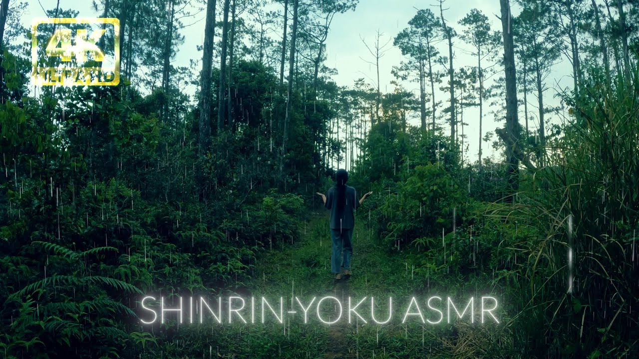 Walking in the Rainy Forest: Soothing ASMR Sounds for Deep Relaxation ...