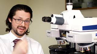 Leeds Helpful Tips  | Trace  Reflected Light Brightfield and Polarized Light on the
