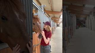 Never judge people, you donât know where theyâre coming from #horseriding #horse #equestrianhumor Never judge people, you donât know where theyâre coming from #horseriding #horse #equestrianhumor