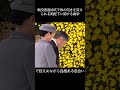 戦没者追悼式で体の向きを変えられる両陛下に関する雑学