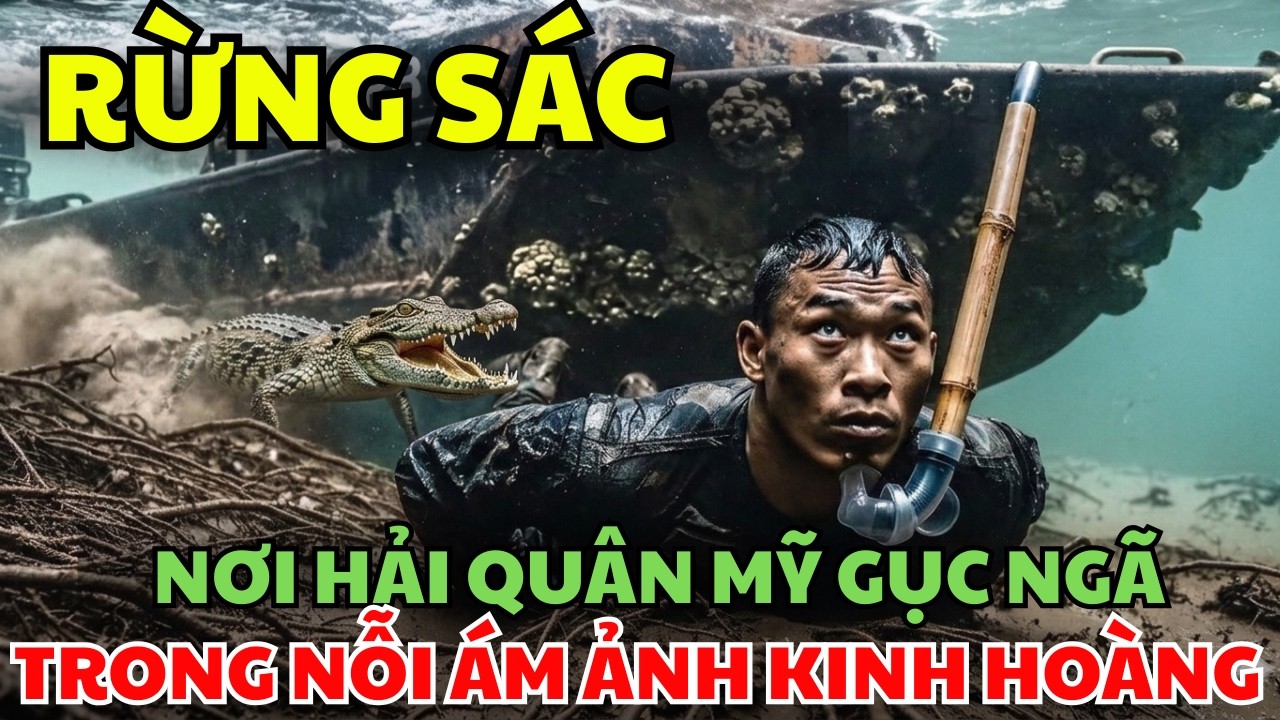 Rừng Sác : Nơi Hải Quân Mỹ Gục Ngã Trong Nỗi Ám Ảnh Kinh Hoàng