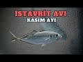 LRF İLE İSTAVRİT AVI!!! KASIM AYI!!!!
