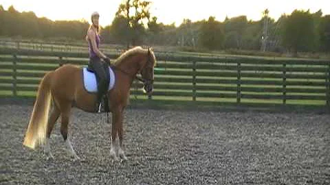 Claire having a lesson with Tracey Lawson.
