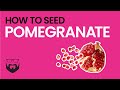How to Seed Pomegranate