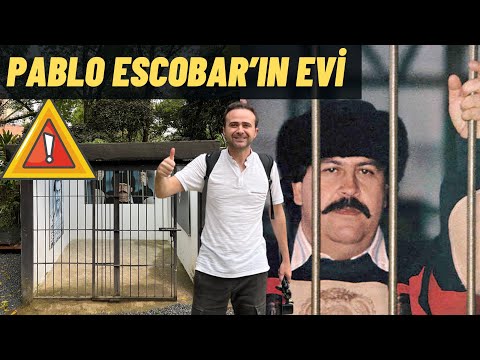 Video: Zvedavý prípad Pablo EskoBear - 