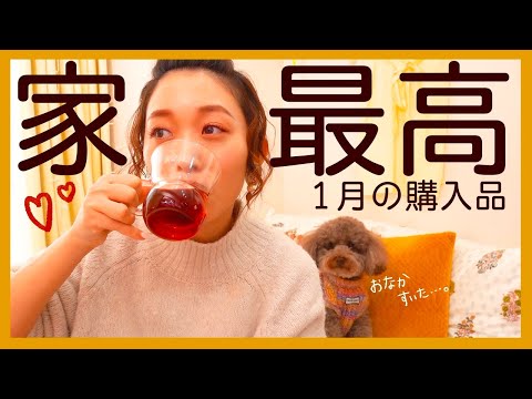 さらに家が快適になった1月の購入品♡〜20万のアレ買いました〜
