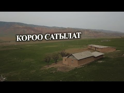 Video: Жаңы короо