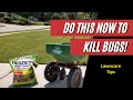 How to Easily Treat Bugs in the Lawn / Keep Your Lawn Bug Free