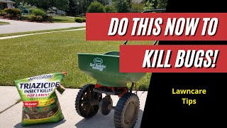 How to Easily Treat Bugs in the Lawn / Keep Your Lawn Bug Free