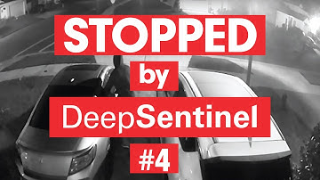 STOPPED by Deep Sentinel #4 - Live Monitoring Preventing Car Break-In and Trespassers