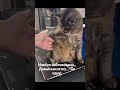 Каклєткууууу 😂!!!!!