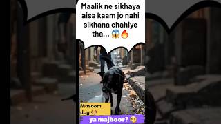 Ye Dog masoom tha… Maalik ne bana diya aisa 😢🐶