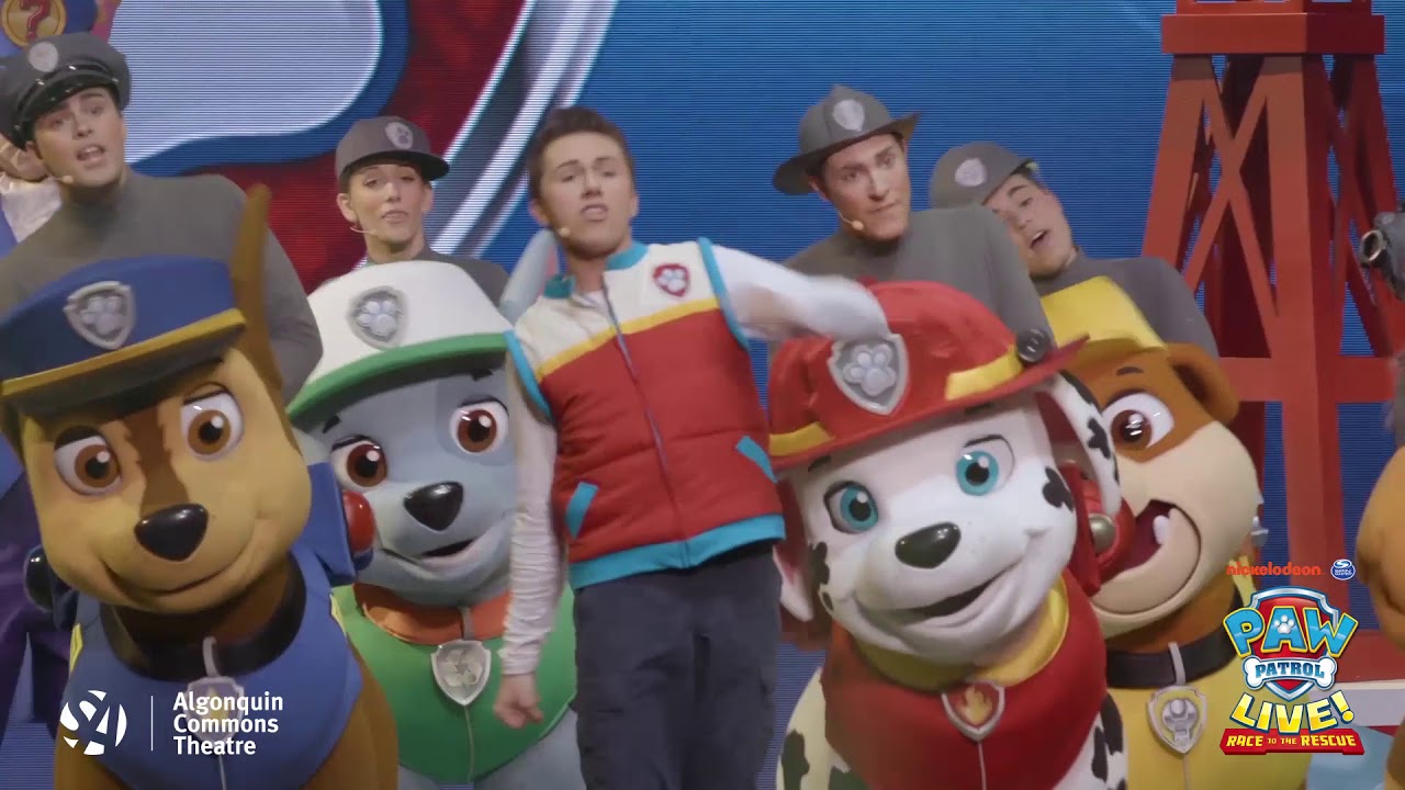 paw patrol show