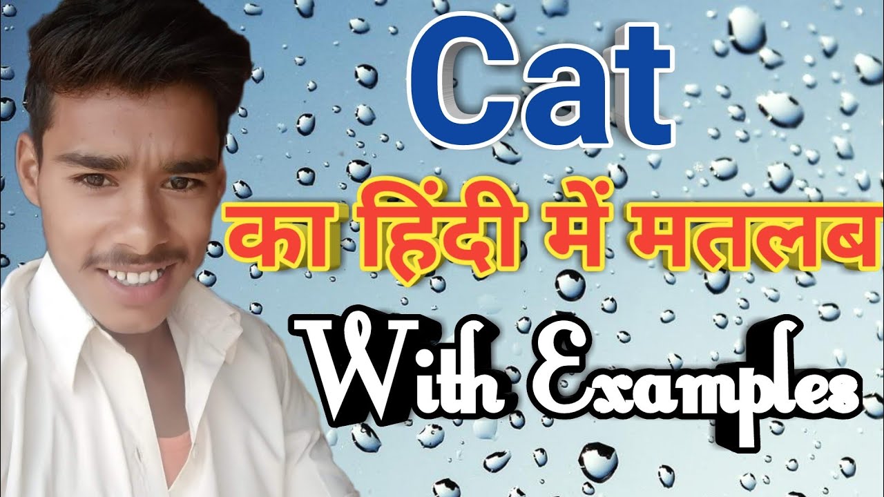 Cat🐈 meaning in hindi | Cat ka matlab kya hota hai | Cat ka arth kya hota hai | Cat🐈का हिंदी अर्थ