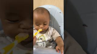 BAYI 6 BULAN GTM | GTM di 2 Minggu Pertama MPASI  #bayi6bulan #mpasi #6monthsbaby
