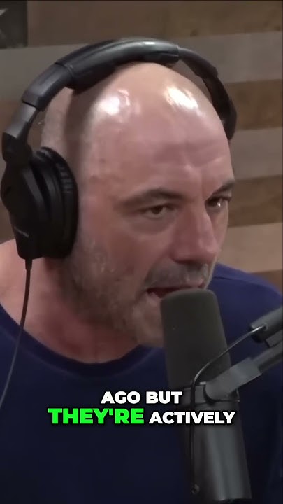 Joe Rogan on Monkeys and Chimps in the Stone Age using Tools - YouTube