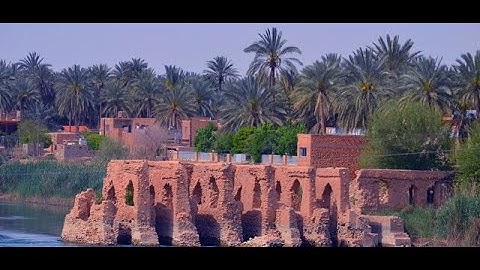 الشيخ وليد ابراهيم الهيتي سورة ق قراءة قديمه