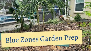 Build Your Own Blue Zone Garden: Step-by-Step (2026)