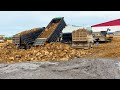 Incredible! Amazing Bulldozer SHANTUI DH17C2 Push Mud, Dump Truck unloading