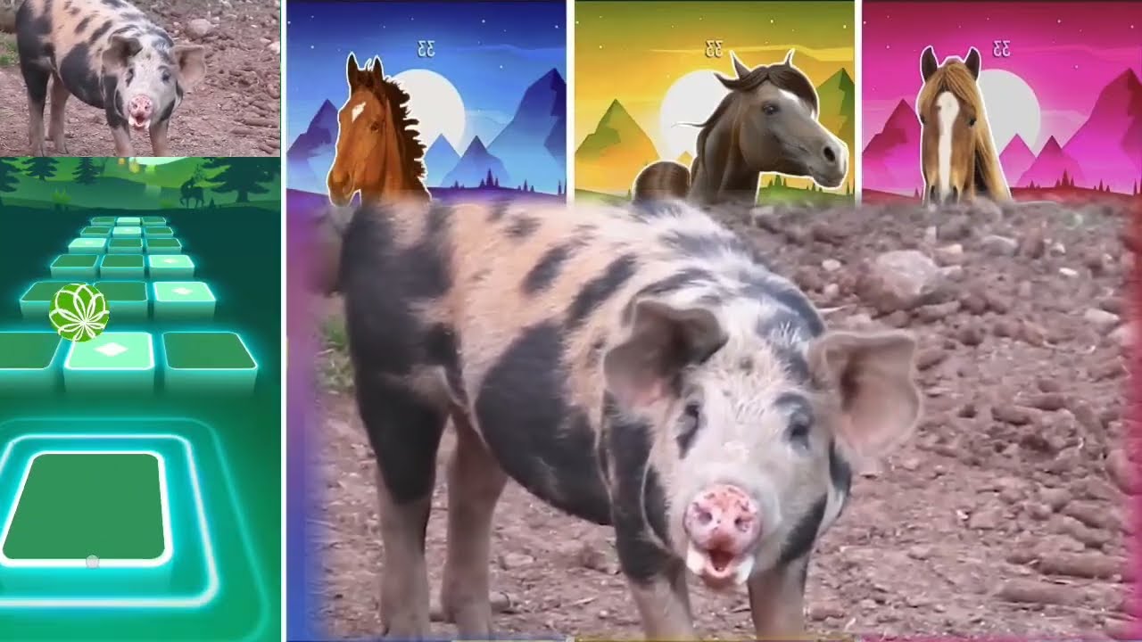 Funny Horse🐎 🆚Funny Elephant 🆚Funny Cow🐄 Funny Bull🦏Tiles Hop EDM Rush