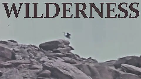 Edward Abbey | Defending Wilderness
