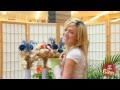 Cutting Flower Prank - Funny Videos