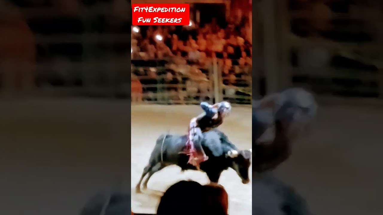 8 second bull ride, but bull takes a nap 