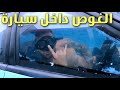 سيارة تمشي والماء داخلها شلوون A Car Drove And Water Inside It 